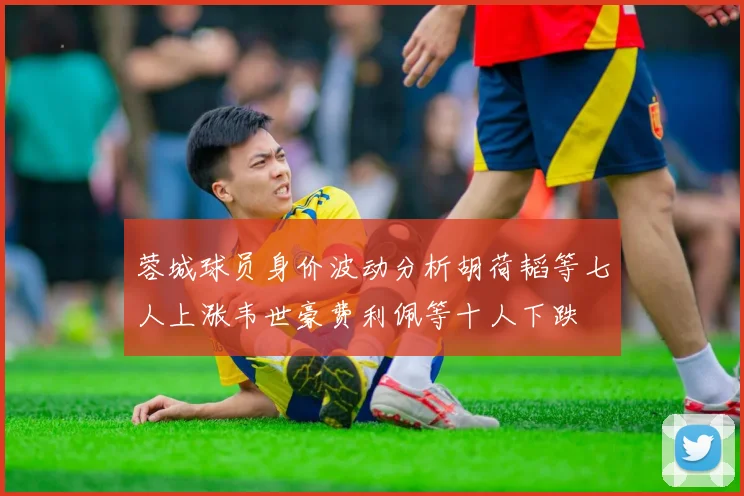 蓉城球员身价波动分析胡荷韬等七人上涨韦世豪费利佩等十人下跌